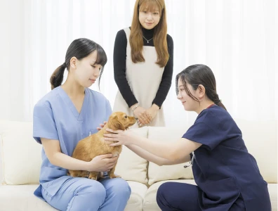往診専門動物病院が直接運営するペットシッターサービス