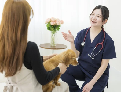 事前面談でペットの性格や健康状態を確認