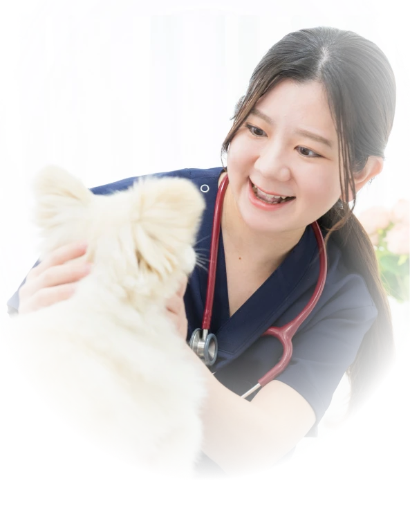 獣医師・動物看護師と連携する訪問ペットケア